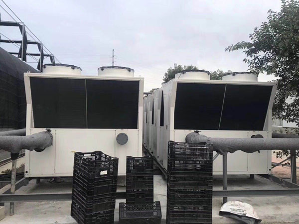 北京順義大型養豬場熱泵采暖