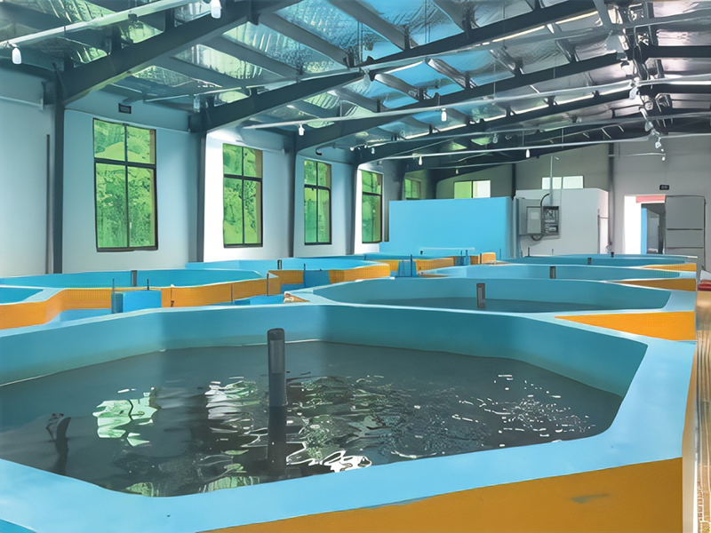 武漢工廠化循環(huán)海水養(yǎng)殖恒溫系統(tǒng)