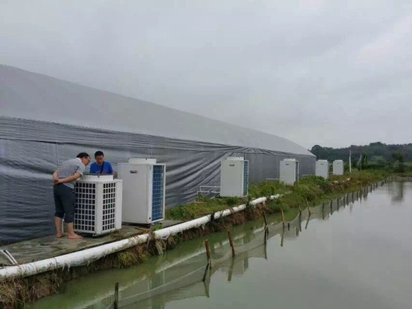 泥鰍養(yǎng)殖加溫?zé)岜霉こ?></a>
                <dl>
                    <dt><a href=